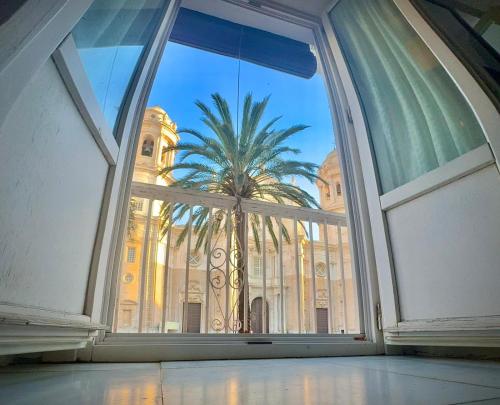 Piso Frontal a Catedral