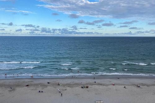 Pelicans Flight at Sandcastle South - image 5