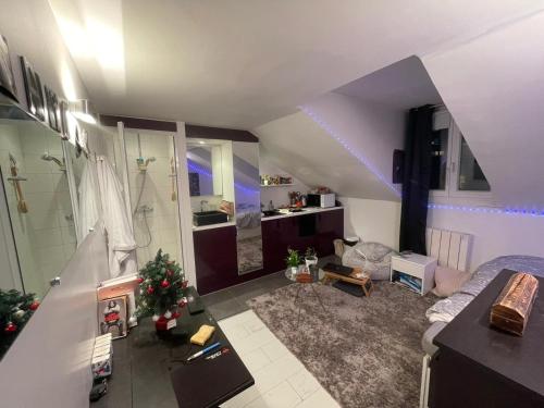studio meublé cosy Paris 14 16m2