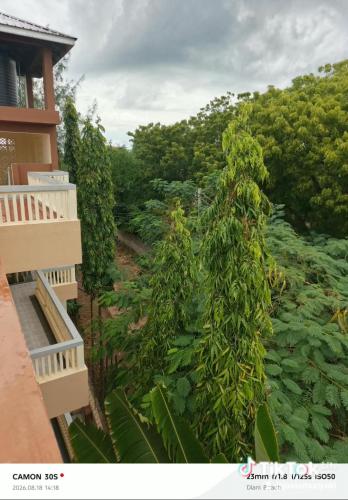 Swara house - image 4