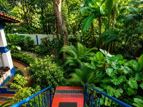 Surrounding environment, Chateau Madeira - 200 Year old Portuguese Heritage Luxury Villa Moira North Goa in Aldona