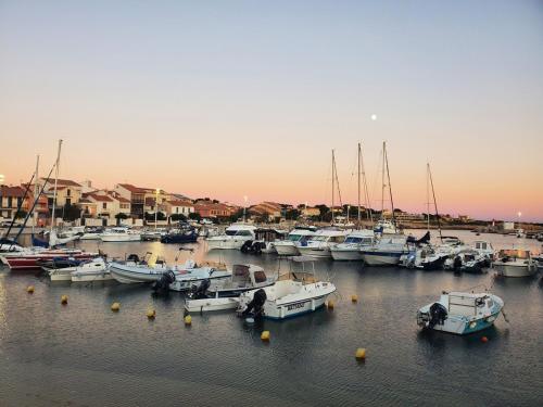 Modern CARRO villa, seaside, COTE BLEUE - Location saisonnière - Martigues