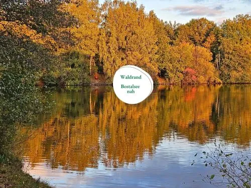Ferienwohnung Schwarzhof- Hahnekräh am Bostalsee, helle 75 qm & hundefreundlich in Nohfelden, Deutschland