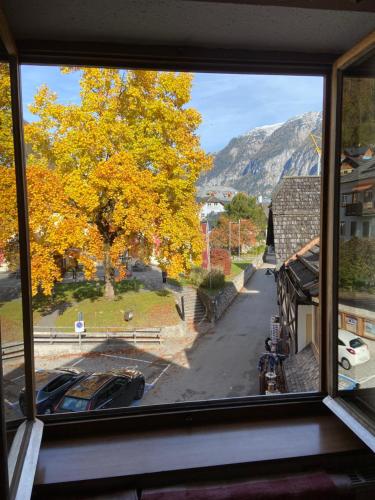 Pension Hallberg 3
