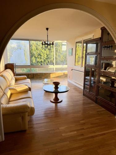 Large, bright apartment near Micropolis - Location saisonnière - Besançon