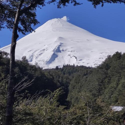 Cabañas mountain native forest (Cabanas mountain native forest) in Chalipen