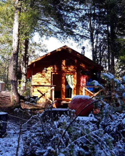 Cabañas mountain native forest (Cabanas mountain native forest) in Chalipen