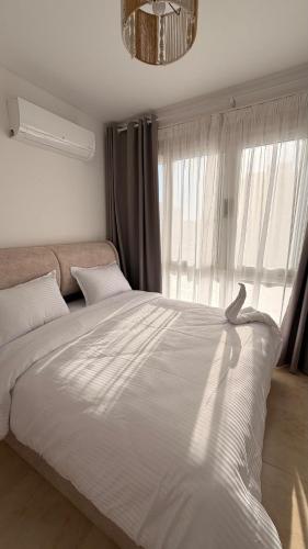 Modern & Cozy 2 BR Apartment in Madinaty in Madinaty