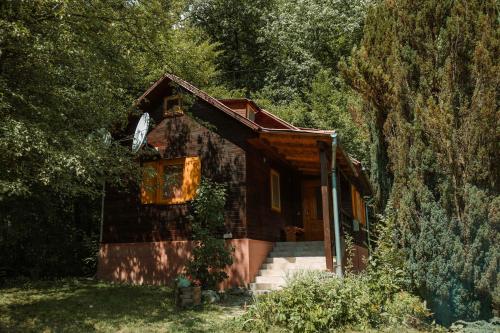 Cheerful Forest Cabin with Hot Tub! in Tinăud