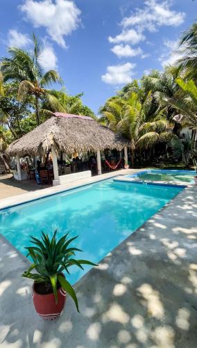 Bể bơi, Casita de Playa BOMALU in Las Penitas