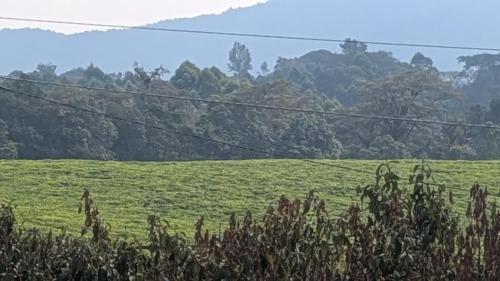 Nyungwe Guest house in Cyangugu