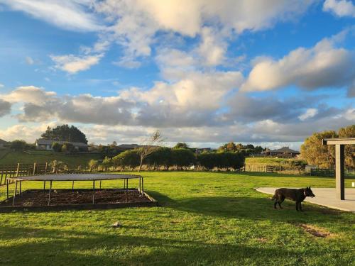 Luxe on Fallow in Feilding