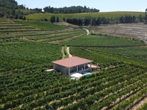 Quinta das Nogueiras gîte à louer Torre de Cima