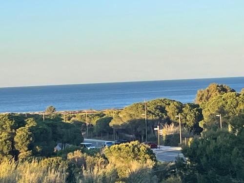 First line Gran Alacant First line Beach