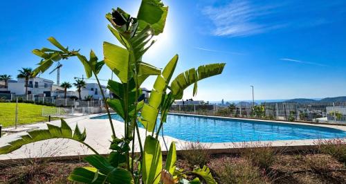 Belluba Dreams in Golf Bahia