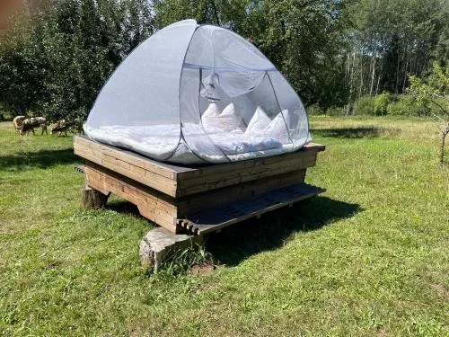 Wiesenbett unterm Nachthimmel in Regen, Deutschland