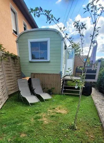 Amselnest in Dobeneck, Deutschland