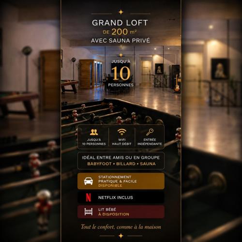 Loft XXL 200m2 Sauna Billard Babyfoot - Location saisonnière - Graulhet