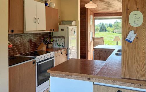 Konyha, Gorgeous Home In Frøstrup With Wifi in Norklit