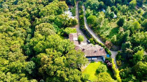 Quinta Casa Alto da Coutada gîte à louer Queijada