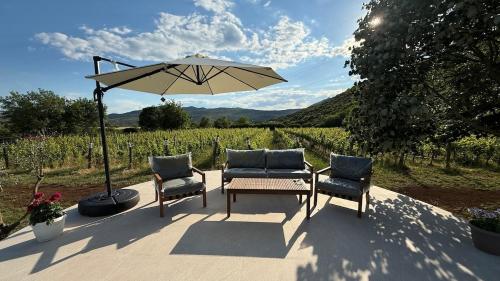 Vineyard Cottage with Mountain Views