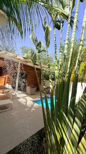 Surf Cabaña con Piscina privada, Majague Lodge (Surf Cabana con Piscina privada, Majague Lodge) in El Cuco