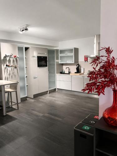 Konyha, Maison Melis Antwerp in Merksem