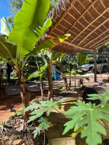 Wohlfühloase Neue Casita in Caacupe Ytu (Wohlfuhloase Neue Casita in Caacupe Ytu) in Caacupe