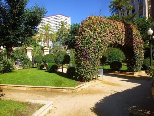 Apartment La plaza 2 deluxe with balcony - image 3