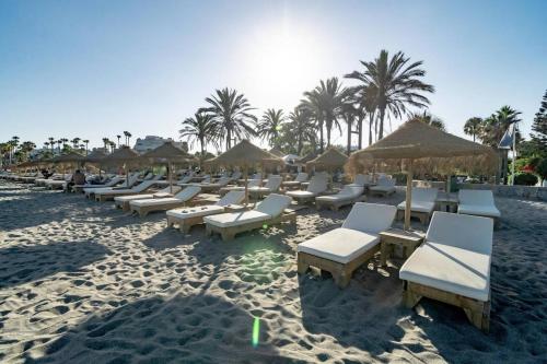 Go- Golden Banus By Roomservices - image 2
