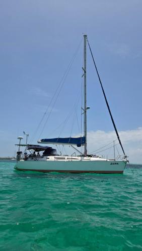 Velero Lupa San Blas in El Porvenir