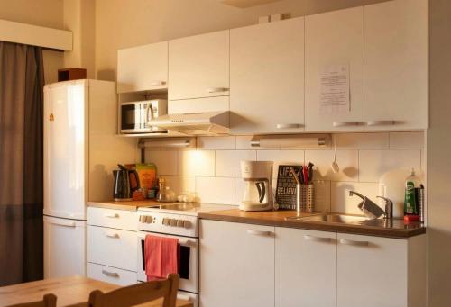 Scandinavian Dream Guesthouse and Apartments in Rovaniemi