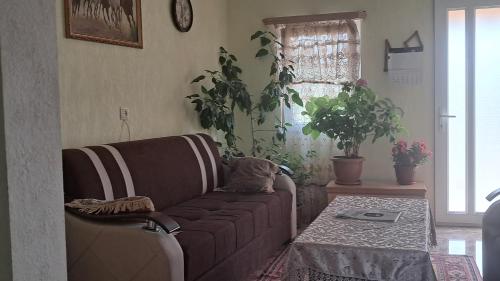 Manan Guesthouse in Chkalovka