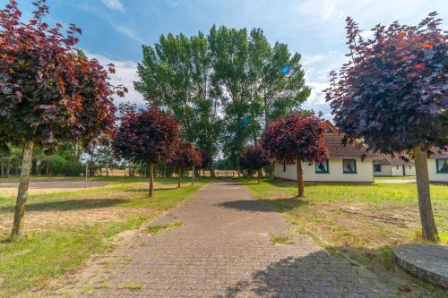 Schwalbennest 2 in Ummanz