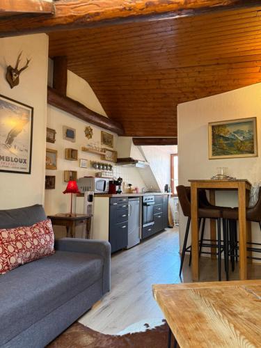 Super cozy alpine chalet - Annecy old town