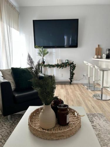 Guestroom, Beautiful Park Side Apartment in Steinbach (MB)