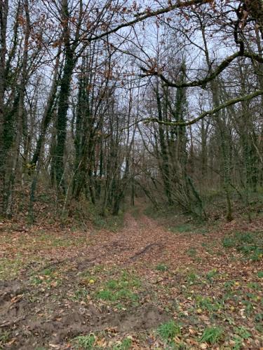 Lappart in Cousances-les-Forges