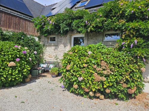 Petit Paris gîte à louer Kergrist