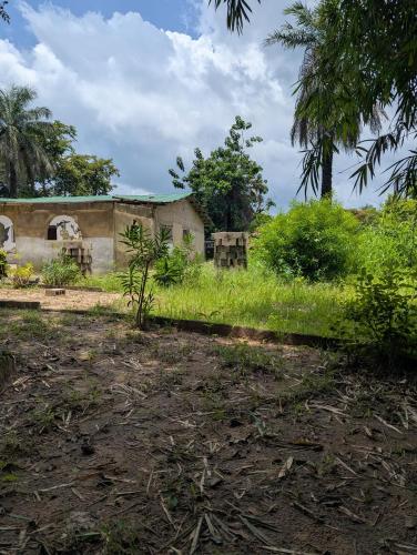 Bakis africa greenzone in Abéné
