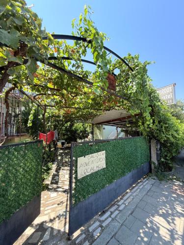 Adventurous Local Hostel in Fethiye