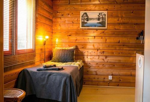 Scandinavian Dream Vikajarvi