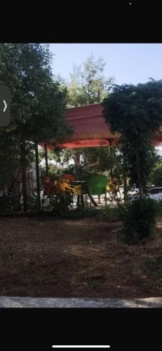 منزل ومزرعه للايجار الشوبكً Farm for rent , Shoubak , Petra in มาอัน