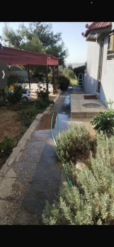 منزل ومزرعه للايجار الشوبكً Farm for rent , Shoubak , Petra in มาอัน