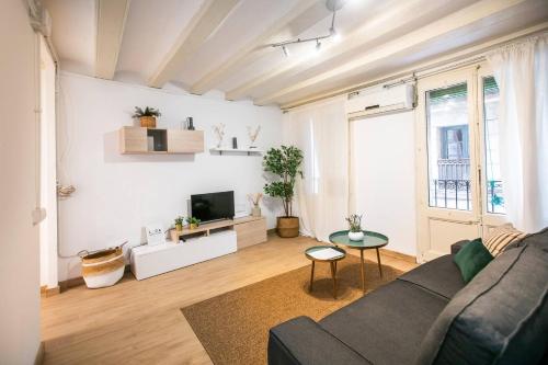 P2ESC1103 - Apartment Barrio Gotico