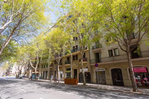 31ENT1027 Delightful apartment in town 2