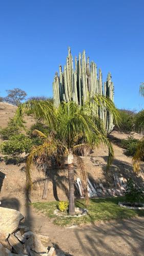 Designer Cabin with Fire Pit and Magical Nights in Eloxochitlán