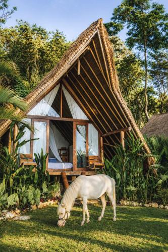 Kirana Retreat - Beach Front Resort Room Type - Eco Villas Beach Front