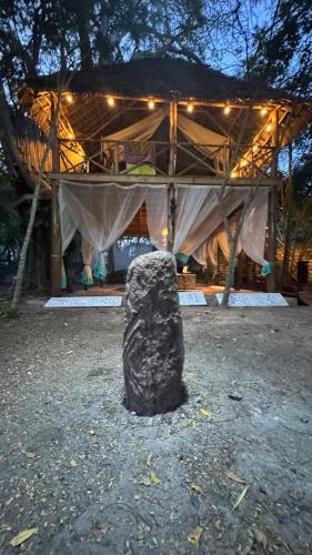 Coco's Cabana