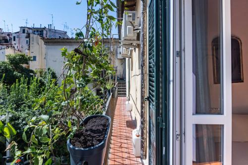 B&B Air Green Serragli