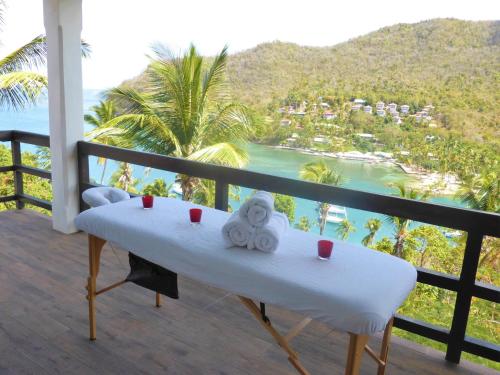 Spa, Marigot Palms Luxury Caribbean Gateway in Marigot Bay